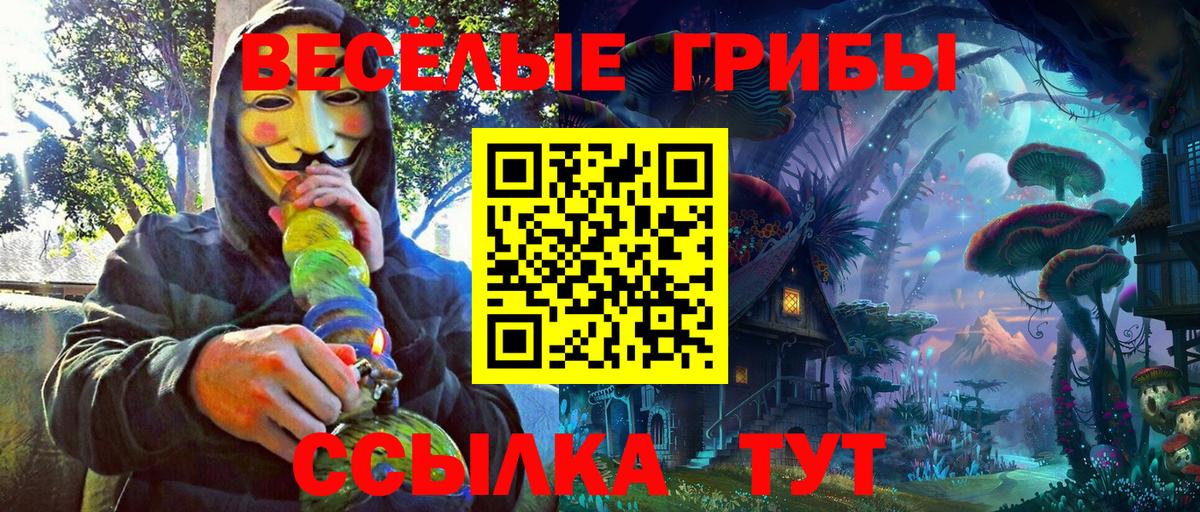 Псилоцибиновые грибы мухоморы  что такое наркотик  Муравленко  Вход с VPN 